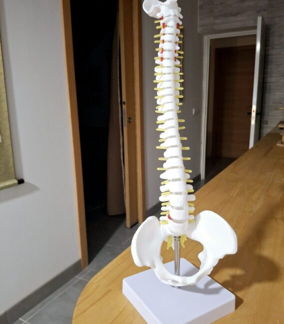 1000019491 1000019491